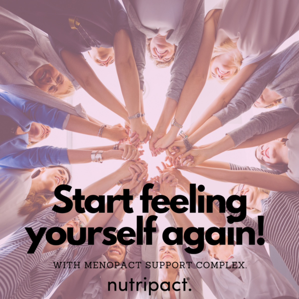Meno Pact Complex - 60 Vegan Capsules - nutripact