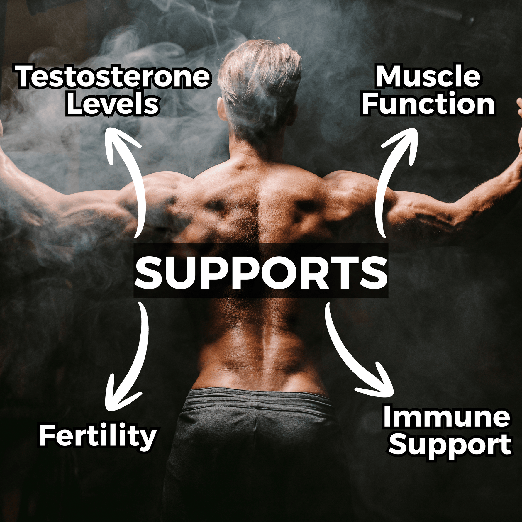 Alpha Pact Complex Capsules - nutripact 