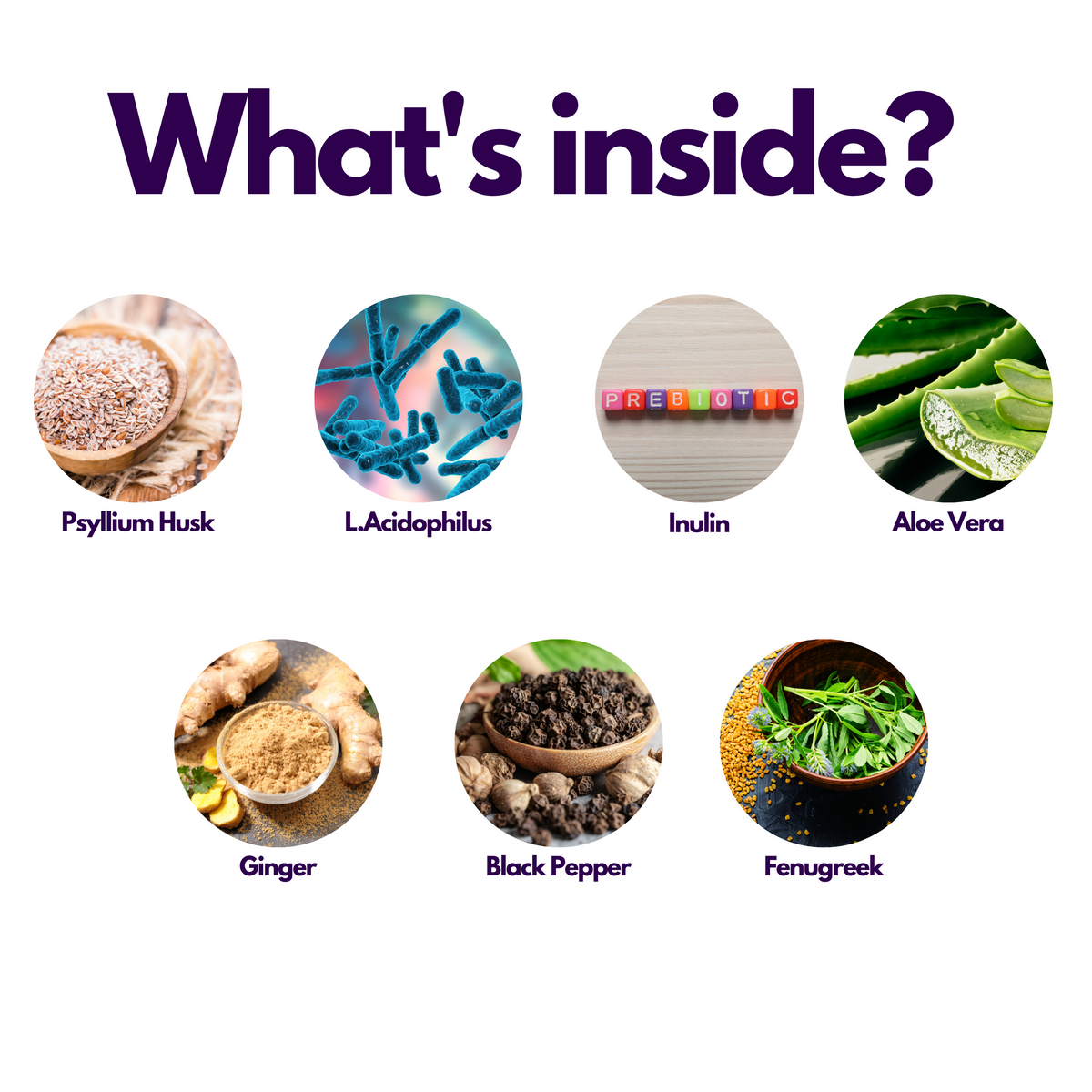 Fibre Plus Complex Capsules - nutripact 