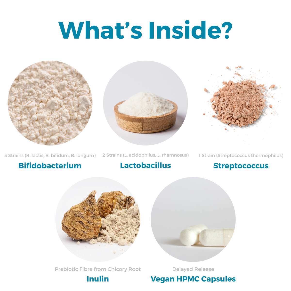 Probiotic Complex Capsules - nutripact 