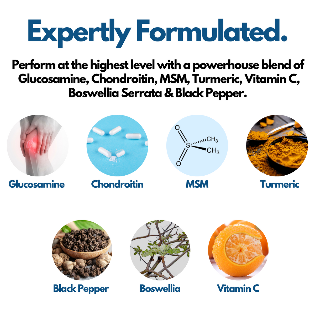 Nutripact Joint Complex Capsules key ingredients: Glucosamine, Chondroitin, MSM, Turmeric, Black Pepper, Boswelia & Vitamin C